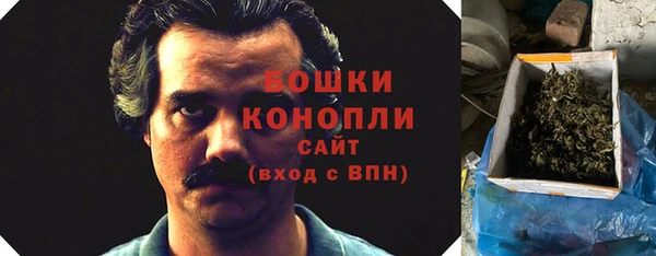 ГАЛЛЮЦИНОГЕННЫЕ ГРИБЫ Беломорск