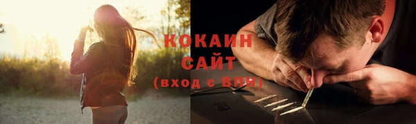 PSILOCYBIN Белокуриха