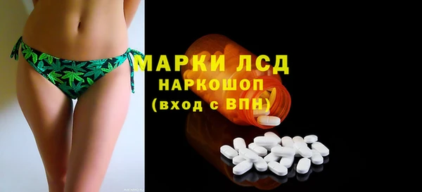 PSILOCYBIN Белокуриха