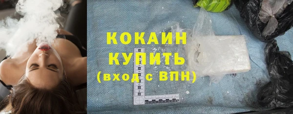 PSILOCYBIN Белокуриха