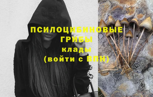 ГАЛЛЮЦИНОГЕННЫЕ ГРИБЫ Беломорск
